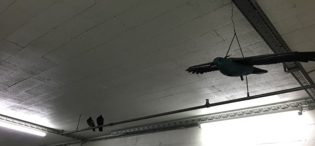 Regener - Wiener Straße