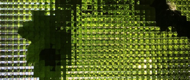 TC Bolye - Die Terranauten