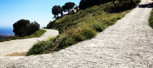 Mirjam Ziegler - Die Federn meiner Mutter - Blogbuster